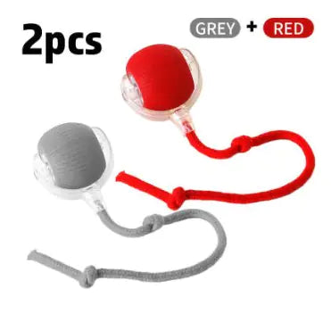 Get Your Cat Moving with the Super Fun Interactive Rolling Ball! πΎπ