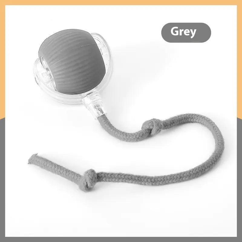 Get Your Cat Moving with the Super Fun Interactive Rolling Ball! πΎπ