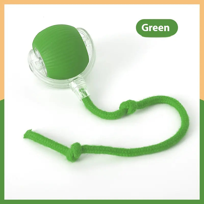 Get Your Cat Moving with the Super Fun Interactive Rolling Ball! πΎπ