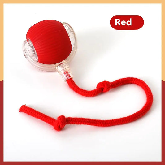 Get Your Cat Moving with the Super Fun Interactive Rolling Ball! 🐾🎉