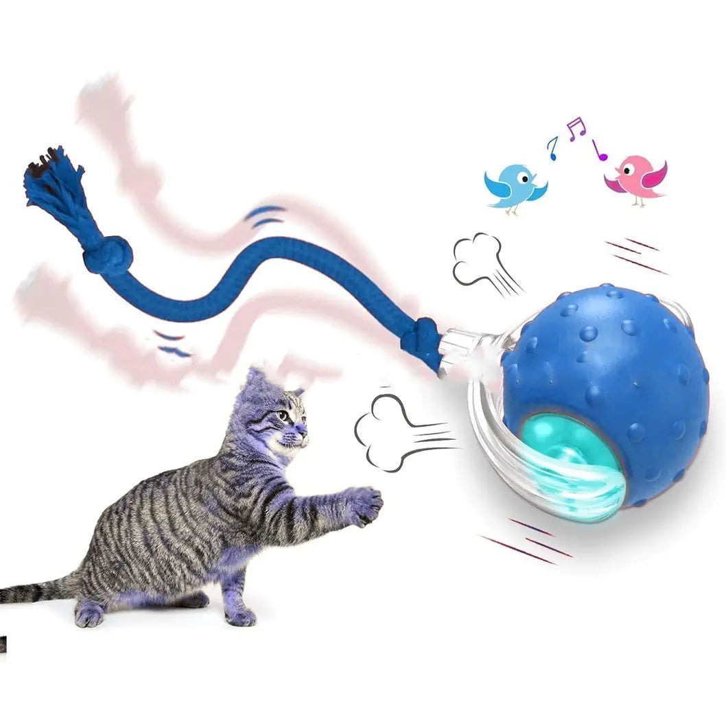 Get Your Cat Moving with the Super Fun Interactive Rolling Ball! 🐾🎉