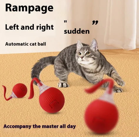 Get Your Cat Moving with the Super Fun Interactive Rolling Ball! 🐾🎉