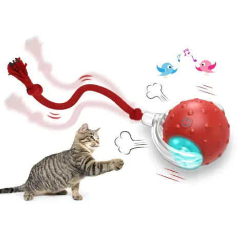 Get Your Cat Moving with the Super Fun Interactive Rolling Ball! 🐾🎉