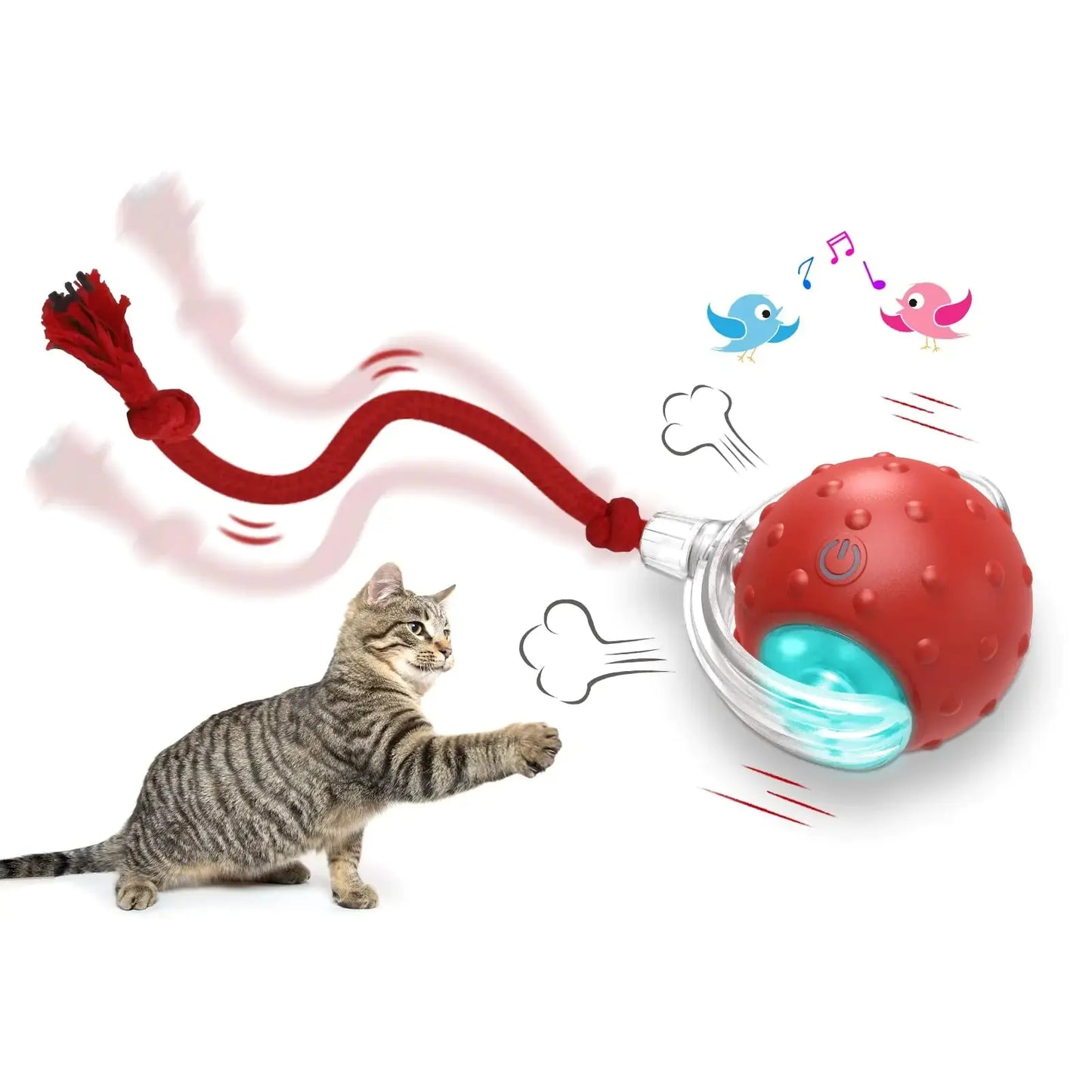 Get Your Cat Moving with the Super Fun Interactive Rolling Ball! 🐾🎉
